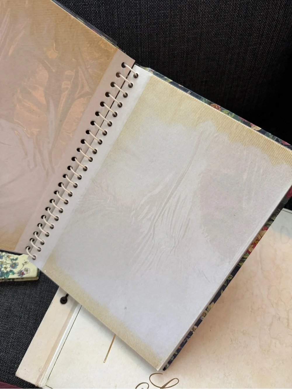 Lot of vintage photo books